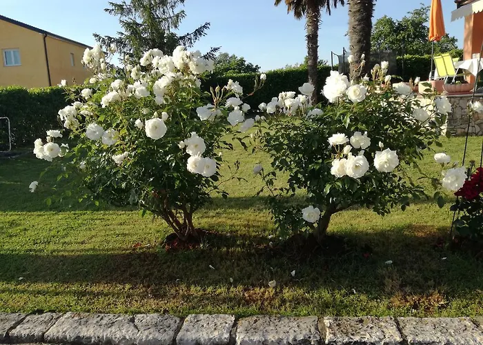 Sunset Colours Rozac Umag