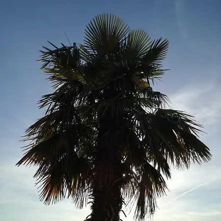 App Sunset Colours Umag Rozac