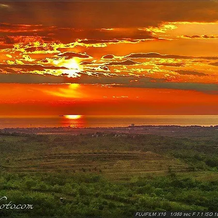Sunset Colours Rozac *